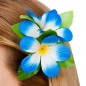 Preview: Hawai Blüte Haarschmuck Haarclip in Royal Blau