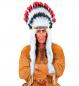 Preview: Indianer Feder Kopfschmuck Wilder Stier