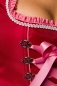 Preview: Dirndline Premium Dirndl mit Stickereien Rosa/Rot