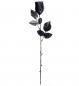 Preview: Schwarze Rose 44cm