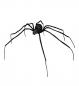 Preview: Spinne Schwarze Witwe biegbar 110cm