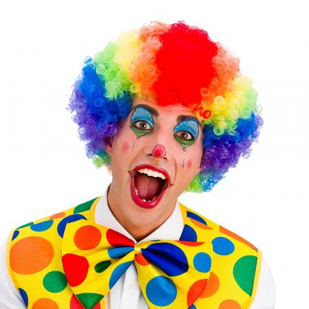 Regenbogen Clown Afro Perücke