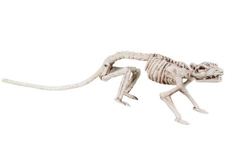 Ratten Skelett Halloween Dekoration 35cm