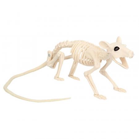 Ratte Skelett (46 cm)